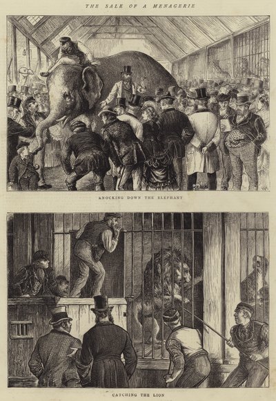 Salget af et Menageri af William Ralston